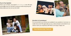 you-must-love-dogs-dating-scam-site